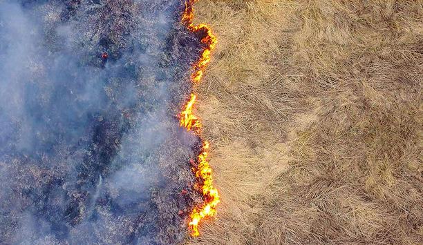 In The Right Conditions, Rapidly Spreading Grass Fires Can Be Deadly