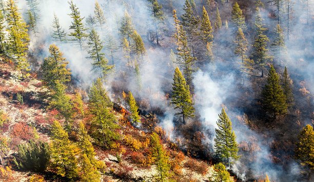 Data Suggests Slower Wildfire Season So Far (Except In The Arctic)