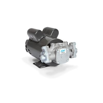 Cat pumps 1XP125.071 1XP Direct Drive Motorized Plunger Pump