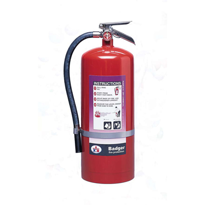 Badger B10P Purple K dry chemical fire extinguisher