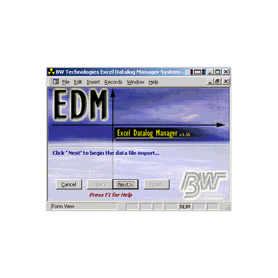 BW Technologies Excel Datalog Manager software