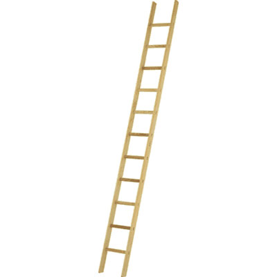 JUST Leitern AG 31-017 wooden rung leaning ladder