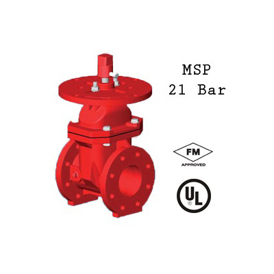 Rapidrop PIV300 gate valve